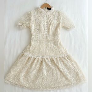 Elegant Cream Lace Fit-and-Flare Dress